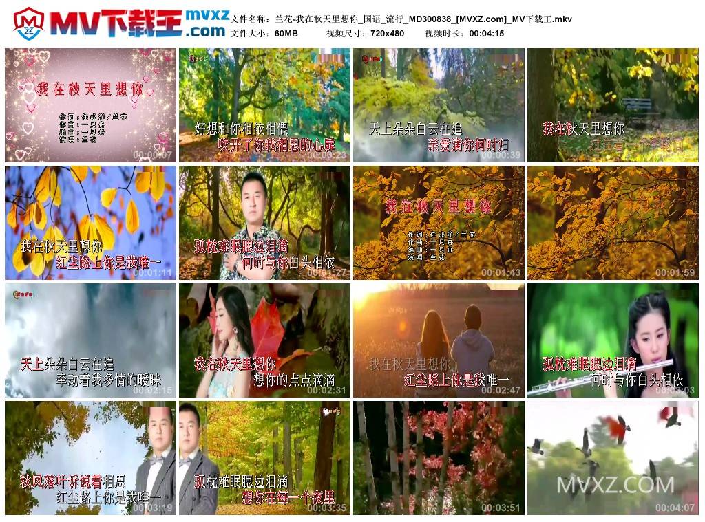 兰花-我在秋天里想你_国语_流行_MD300838